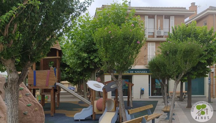 P24 rosa de siria