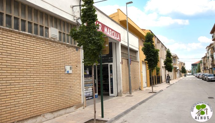 arce real 9.2